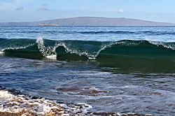 Grand Champions #157