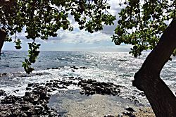 Grand Champions #157