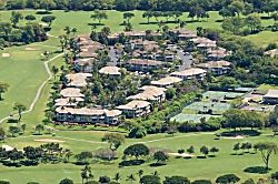 Grand Champions #157