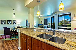 Grand Champions #157