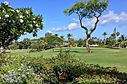 Grand Champions #157