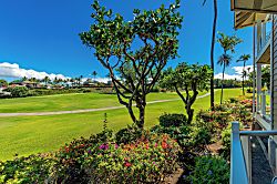 Grand Champions #157