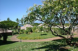 Maui Eldorado Resort