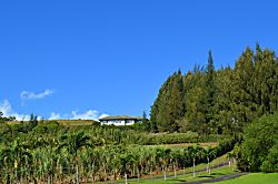 Maui Hilltop Retreat