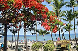 The Beach Villas at Kahalu'u Condo