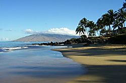 Hale Ohana at the Maui Vista 