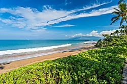 Amore Aloha 813 at Andaz Maui at Wailea Resort