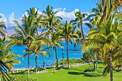 Amore Aloha 813 at Andaz Maui at Wailea Resort