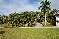 Areca Suite at Tranquil Palms