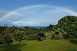 Areca Suite at Tranquil Palms