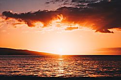 Areca Suite at Tranquil Palms