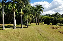 Areca Suite at Tranquil Palms