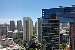 Hawaiian Monarch 3101