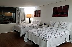 Hawaiian Monarch 3101