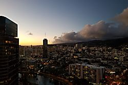 Hawaiian Monarch 3101