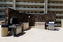 Hawaiian Monarch 3101