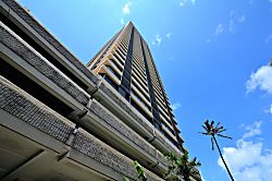 Hawaiian Monarch 3101