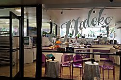 Hawaiian Monarch 3101