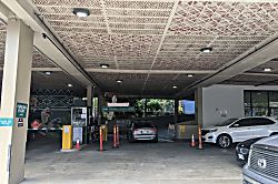 Hawaiian Monarch 3101