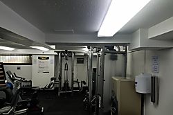 Hawaiian Monarch 3101