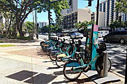 Hawaiian Monarch 3101