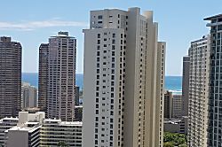 Hawaiian Monarch 3101