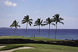 Hali'i Kai Resort Rental