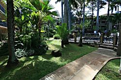 Prince Kuhio's Bamboo Beach Studio