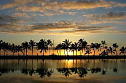 Vista Waikoloa Rental