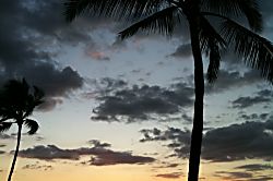 The Palms at Wailea #1305