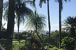 The Palms at Wailea #1305