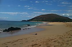 The Palms at Wailea #1305
