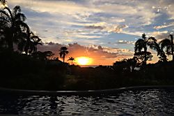 The Palms at Wailea #1305