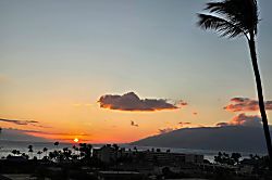 Kihei Akahi D505