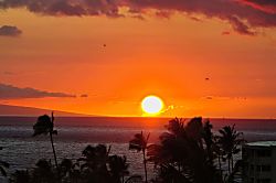Kihei Akahi D505