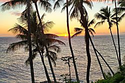 Makahuena Resort Unit 1307