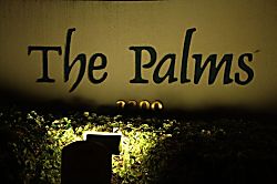 The Palms at Wailea Unit 1194