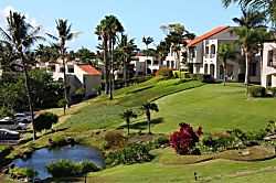 The Palms at Wailea Unit 1194