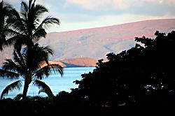 The Palms at Wailea Unit 1194