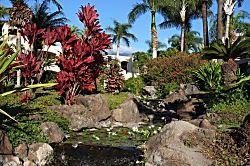 The Palms at Wailea Unit 1194