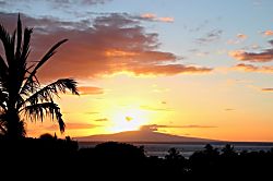 The Palms at Wailea Unit 1194