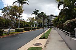 Maui Banyan G building