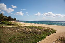 Maui Banyan G building