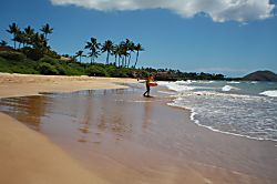 Maui Banyan G building