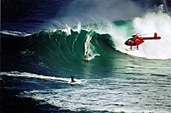 Maui Banyan G building