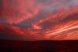 Maui Banyan G building