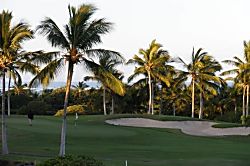 Shores at Waikoloa 13