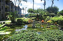 Pono Kai Resort 1 Bedroom Garden View Condo