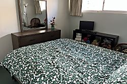 Waikiki Park Heights Unit