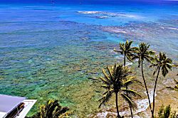 Diamond Head Beach Hotel #1201